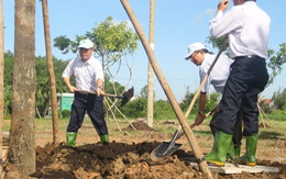 ​Lãnh đạo TP.HCM trồng cây chào mừng Quốc khánh