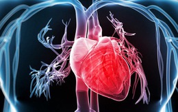 Hệ thống giám sát và cảnh báo các vấn đề tim mạch