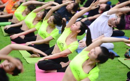 Trái Tim Vàng: Đưa Yoga và Thiền trở thành nghề của của người Việt