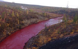 Dòng sông Nga chuyển màu đỏ như máu