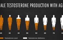 ​Vai trò của testosterone đối với sức khỏe nam giới