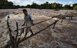 Don Sahong - “tử huyệt cá” trên dòng Mekong