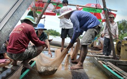 Lũ không về, ứng phó thế nào đây?