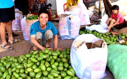 “Nhút Thanh Chương, tương Nam Đàn” trên miền đất đỏ