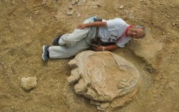 ​Phát hiện dấu chân khủng long khổng lồ tại sa mạc Mông Cổ