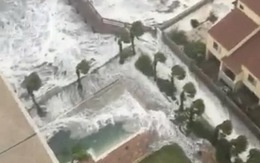 Clip bão Matthew gây "sóng thần" ở Florida