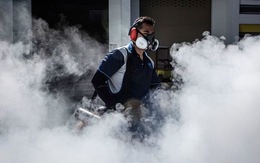 WHO cảnh báo Zika lây lan diện rộng ở châu Á