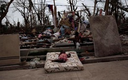 Haiti phải chôn người chết vì bão trong mộ tập thể