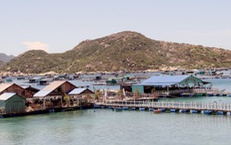 Khánh Hòa cấm hoạt động nhà hàng bè nổi trên biển