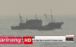 Bình Nhưỡng bán quyền đánh cá cho Đài Loan?