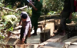 Phá án vụ phá rừng hơn 100m3 gỗ, bắt ba lâm tặc