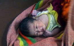 Một bé gái sơ sinh bị bỏ rơi trong vườn cao su