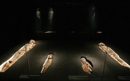 ​Chile tìm kiếm sự hỗ trợ để bảo tồn các xác ướp cổ nhất thế giới