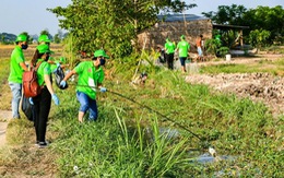 ​Cải tạo và phục hồi môi trường khu vực đất bị ô nhiễm tồn lưu