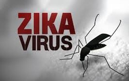 TP.HCM: số người mắc virút Zika có thể nhiều hơn 38 ca