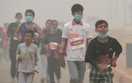 Cả triệu học sinh Ấn Độ phải nghỉ học ba ngày vì ô nhiễm quá nặng