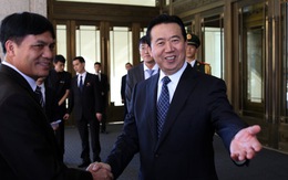 Interpol bổ nhiệm giám đốc người Trung Quốc