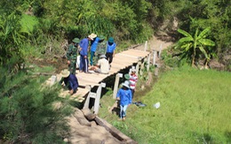 20 chiến sĩ trẻ làm cầu gỗ giúp dân