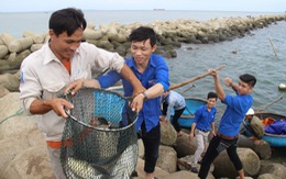 Đoàn viên bán cá giúp dân miền Trung