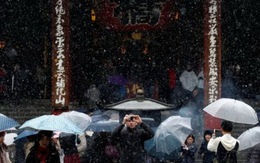 ​Tokyo có tuyết rơi tháng 11 lần đầu trong nửa thế kỷ