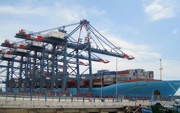 Cảng Tân Cảng - Cái Mép đón container thứ 1 triệu
