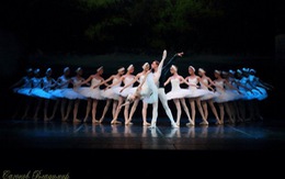 Ballet Kẹp hạt dẻ đến Hà Nội, Hồ thiên nga vào Sài Gòn