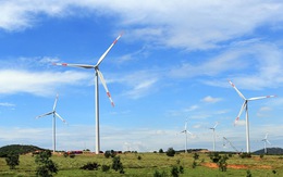 ​Nội địa hóa để giảm chi phí đầu tư điện gió
