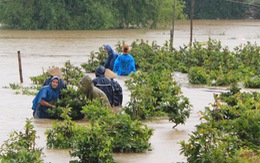 Thêm 3 người chết do lũ lụt ở ​Bình Định