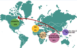 45% doanh nghiệp lớn Việt Nam muốn đầu tư ra nước ngoài