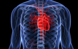 Sống lành mạnh giảm nguy cơ nhồi máu cơ tim
