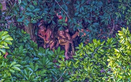 Lộ ảnh mới nhất về bộ lạc Amazon bí ẩn