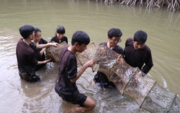 Học sinh đến Cần Giờ học cách bảo vệ môi trường rừng