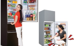 ​Mẹo hay chọn mua tủ lạnh dịp Tết