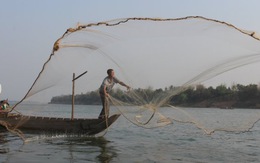 Cần chấm dứt dự án cải tạo dòng Mekong