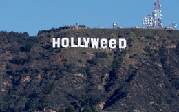 ​Biểu tượng Hollywood bị sửa thành Hollyweed