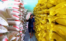 ​Bỏ quy hoạch thương nhân kinh doanh xuất khẩu gạo