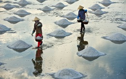 ​TP.HCM hỗ trợ diêm dân tiêu thụ 95.000 tấn muối tồn kho