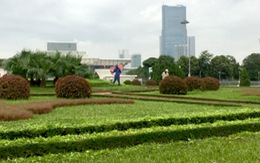 Hà Nội quy định chỉ cắt cỏ vườn hoa, công viên 18 lần/năm