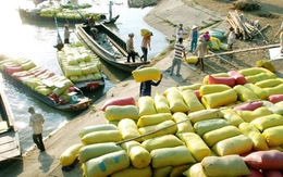 ​Bãi bỏ hàng loạt quy định khống chế xuất khẩu gạo