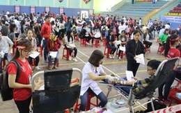 Hơn 500 sinh viên Huế tham gia Ngày hội Xuân hồng