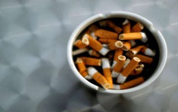 Toàn cầu thiệt hại 1 nghìn tỉ USD vì thuốc lá