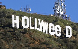 Tác giả đổi Hollywood thành Hollyweed đến đồn cảnh sát tự thú