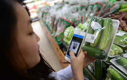 Sài Gòn bắt đầu truy xuất nguồn gốc rau quả bằng smartphone