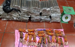 Quảng Ninh bắt giữ phụ nữ vận chuyển 80kg thuốc nổ