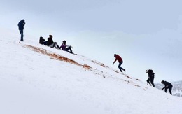 Hi hữu: rủ nhau trượt tuyết ở... sa mạc Sahara