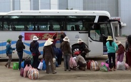 Xe miễn phí ở Đà Nẵng chở người nghèo về quê ăn tết