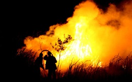 Indonesia sẽ mạnh tay với các công ty gây cháy rừng
