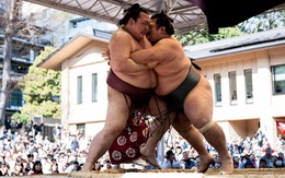 ​Nhật có sumo giành đẳng cấp Yokozuna sau 19 năm chờ đợi