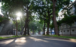 Đường phố Sài Gòn 'nên thơ' sáng mùng 1 Tết