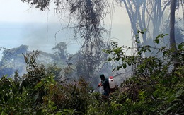​Bắt quả tang 2 người đốt phá, lấn chiếm đất rừng Phú Quốc